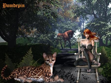 magnifique montage