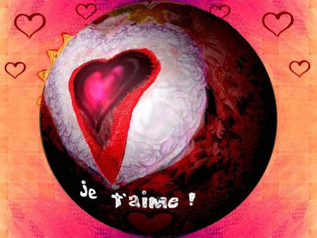 LES AMOURS DU NET