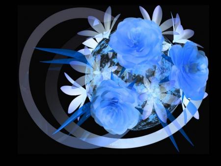 LA ROSE