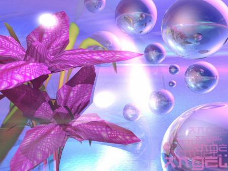 l image 3D