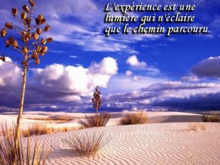 Paix Amour et Libert�