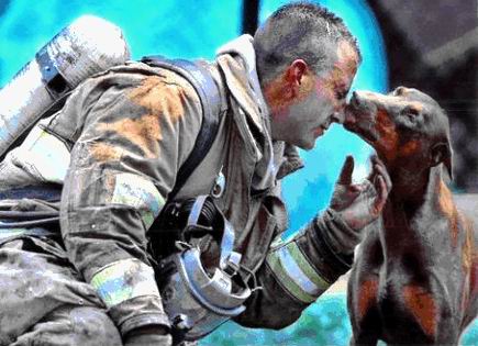 Le baiser du Doberman !