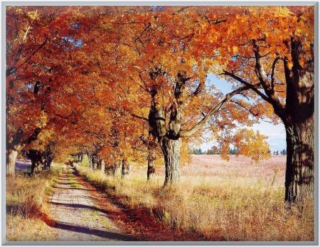 chemin campagnard