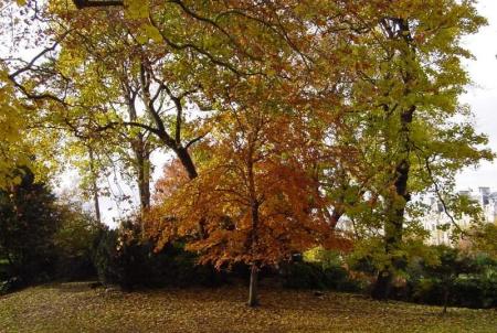 Chant d'Automne