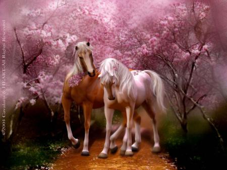 tres belle photo