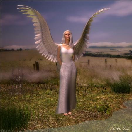 Anges de la terre