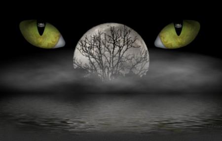 A la source de tes Yeux