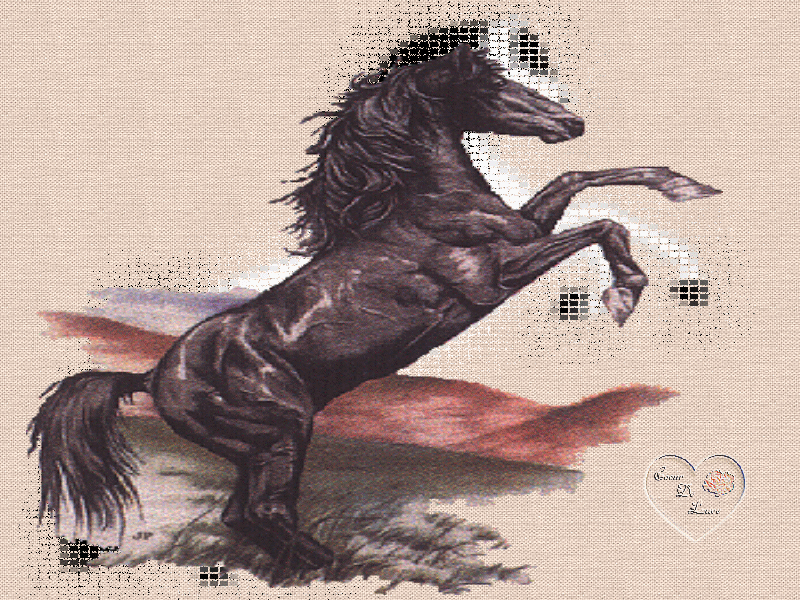 La pi�re du cheval