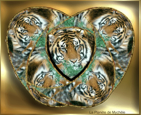 je suis le tigre.