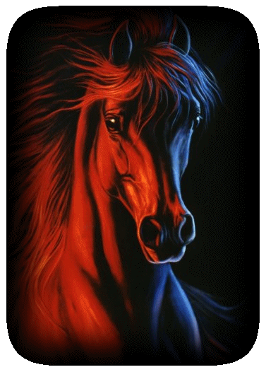Cheval  mon ami