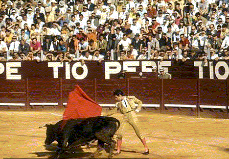 La tauromachie
