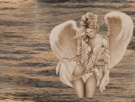 l'ange