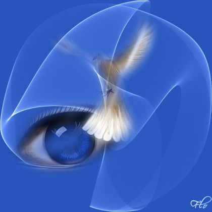 mes yeux
