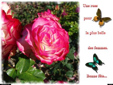 bonnes fetes a toutes les mamans