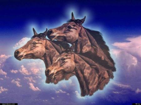 Le portrait d'un oiseau