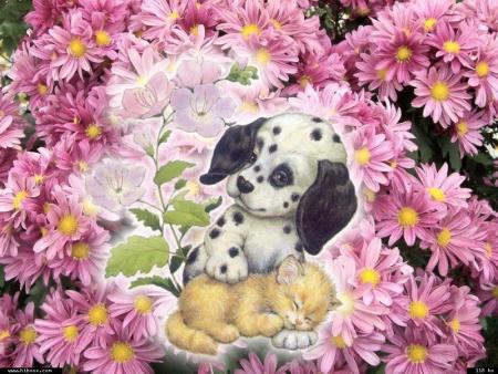 Vos �crits sont de v�ritable plaisir