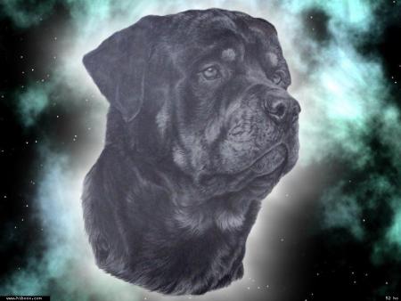 La vie, la libert�.