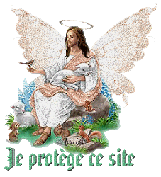 sans commentaires