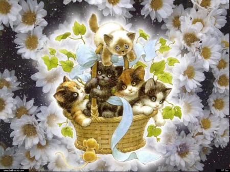 J'avais r�v� d'une nuit de lune