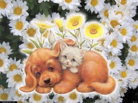 Sur le Net, un soir je tai recontr�