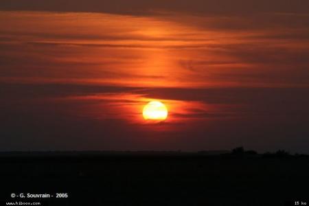 Roi Soleil