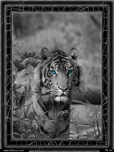 Je vous souhaite d'aimer ce qu'il faut aimer