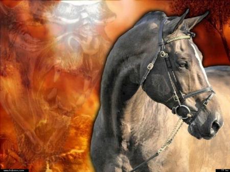 J'ai donn� mon intelligence � r�parer