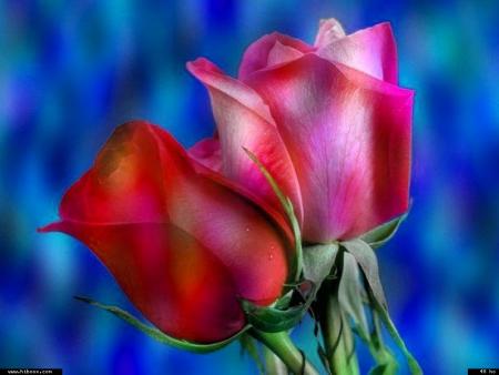 Est-ce que je peux faire quelque chose pour toi?