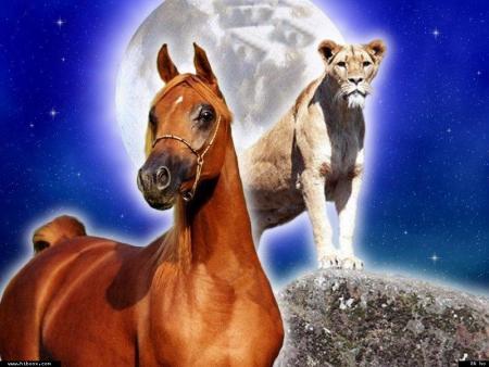 Faites de ce jour un jour unique