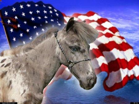 la connaissance de l'�tre