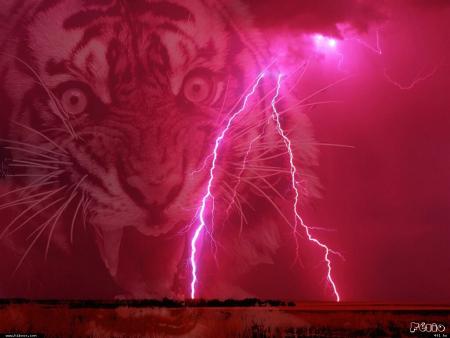 Toi qui dans ta jungle