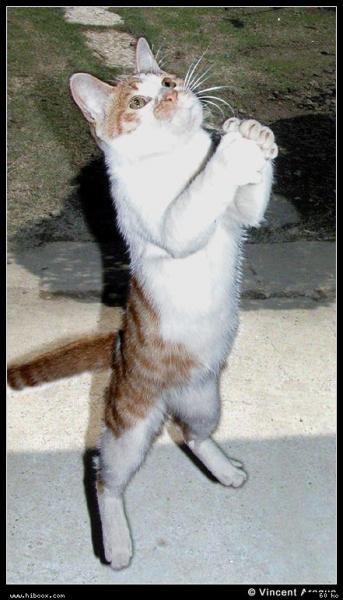 Mon Seigneur et Ma�tre