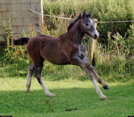 Il m'arrive de r�ver