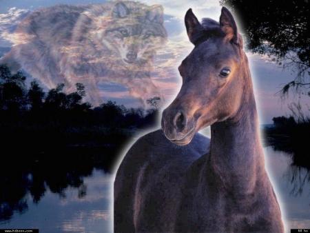 La r�gle d'or de la conduite