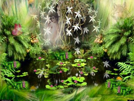 Mais oui vous avez raison