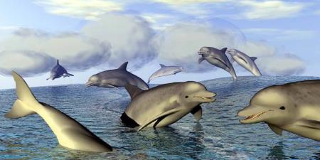 l'infinie vision d'un monde merveilleux