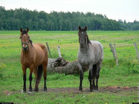 La plus noble conqu�te