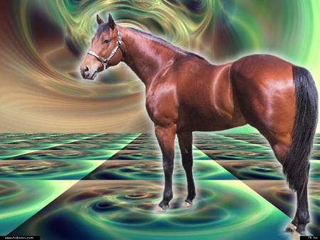 la difficult� actuelle