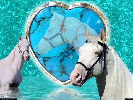 Voici un message aux adultes