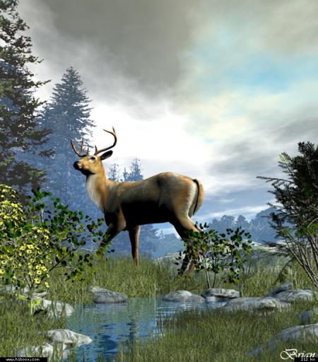 la vie c'est la lumi�re qui s'allume