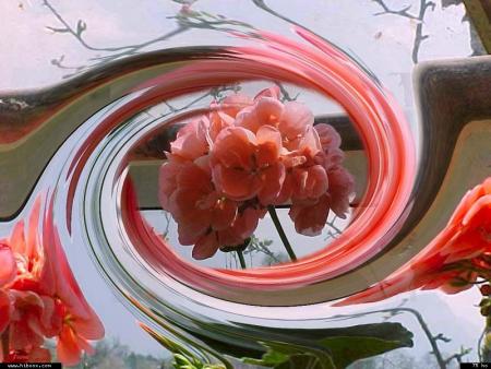 Grande �toile de Dieu