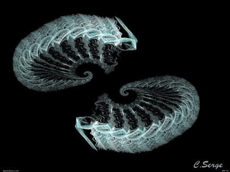 Attention aux fleurs des pr�s