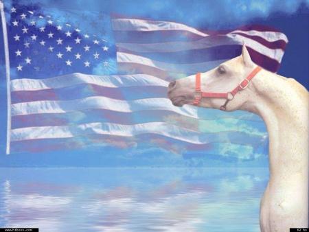 Mon plaisir et mon fragile bonheur