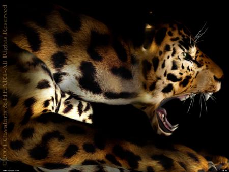 Le savant est l'homme