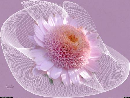 En regardant la Lune face � face