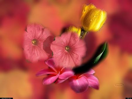 Pas simple d'�tre simple