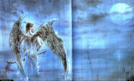 beaut� divine, beaut� fatale