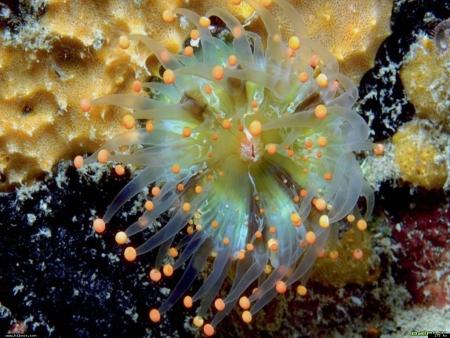 La crainte est le pire sentiment de la vie