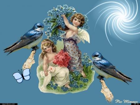 L'oiseau n'�tait pas heureux Parce qu'il ne savait pas