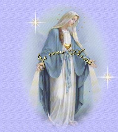 Un soleil voit na�tre et mourir la rose